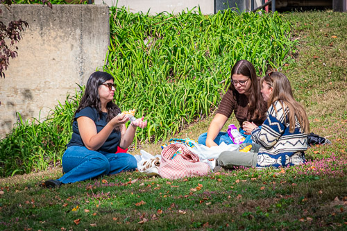 Sleepy Hollow, NY - Oct 2025